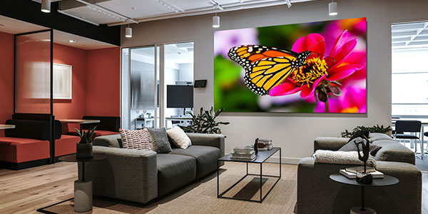 A large wall screen with a crisp picture of a butterfly on a flower on it