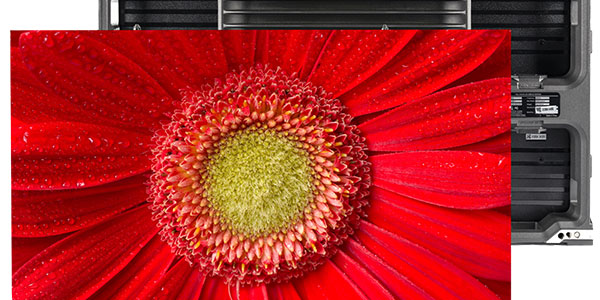 A crisp image of a red flower on a Planer LED video wall